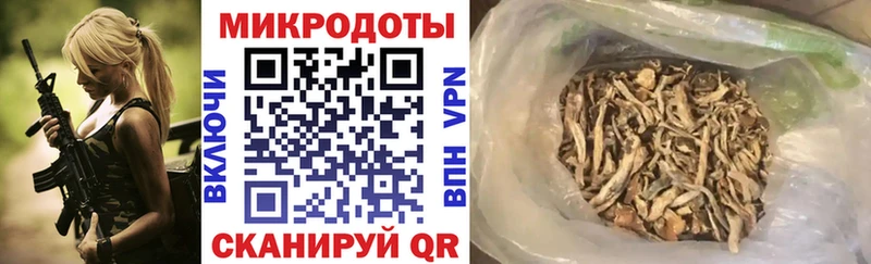 Галлюциногенные грибы MAGIC MUSHROOMS  мориарти наркотические препараты  Слюдянка 
